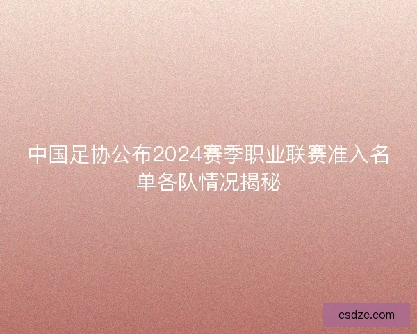 中国足协公布2024赛季职业联赛准入名单各队情况揭秘